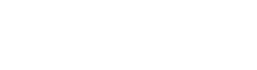 The horizontally-oriented logo for the Vascular Wellness Institute in all white.